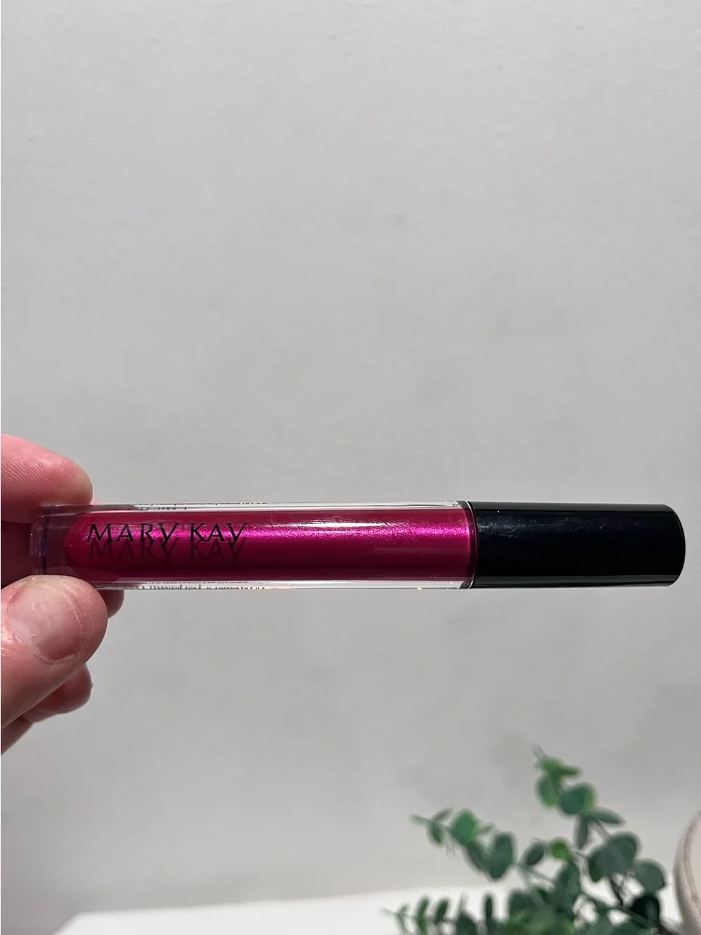 Mary Kay Lip Bundle